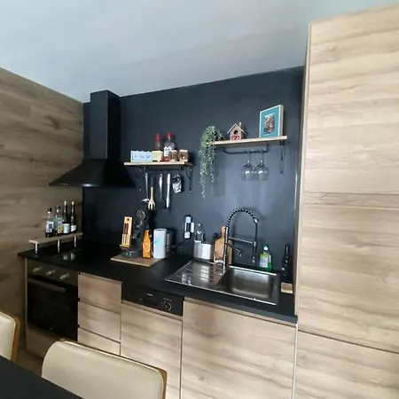 Appartement Cosy Duplex In Centre With Indoor Parking